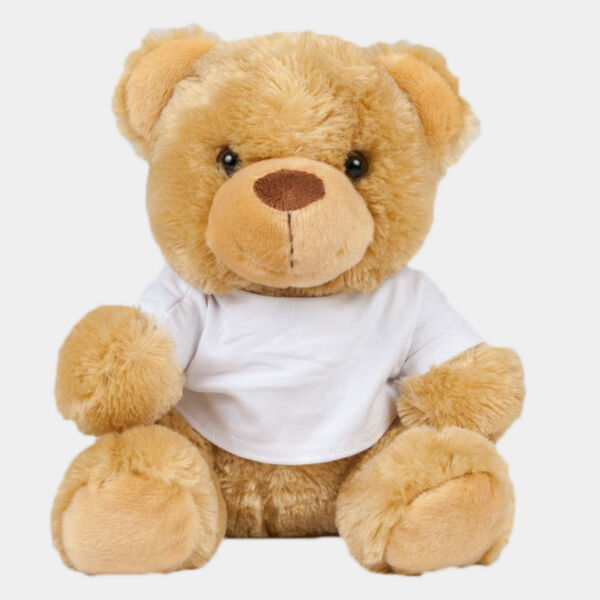 Mumbles Bear in a T-Shirt Thumbnail